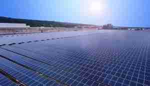 中美硅晶与口袋牛店光电携手战略合作